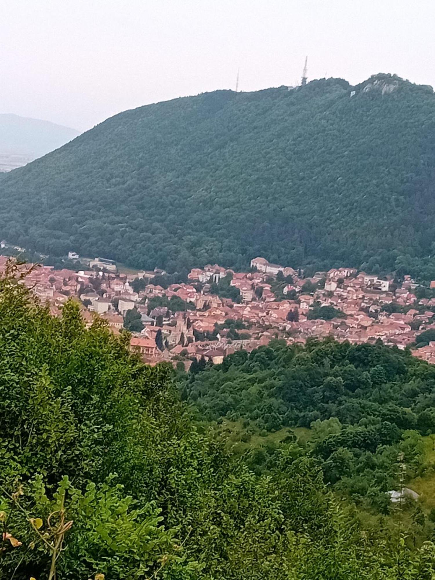 Cosy Hideaway Brașov